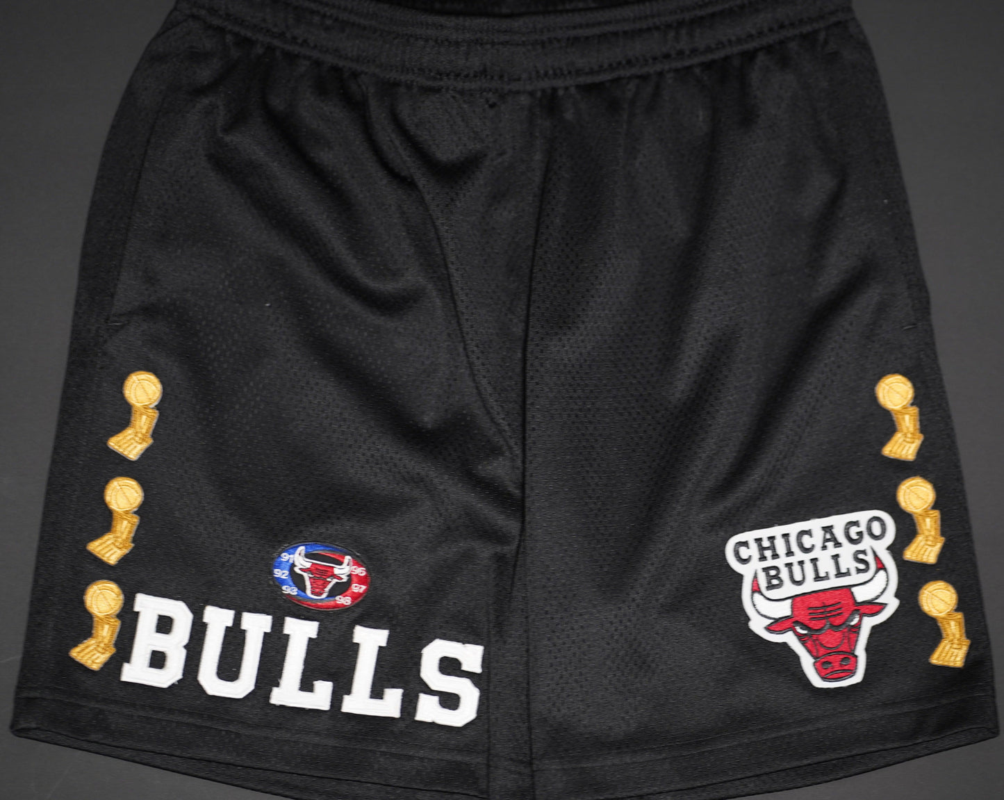 Chicago Bulls Premiere Shorts Custom