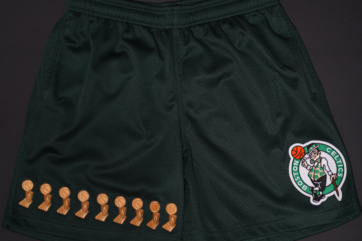 Boston Celtics Premiere Shorts Custom